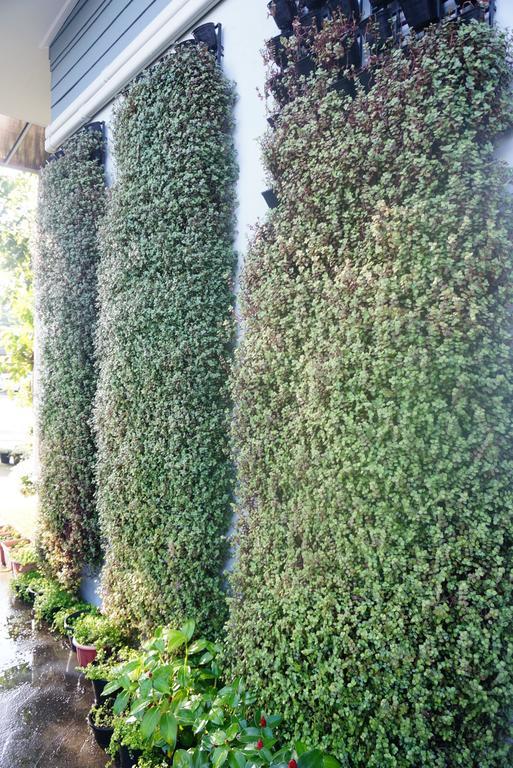 The Rhea Hotel Udon Thani Bagian luar foto